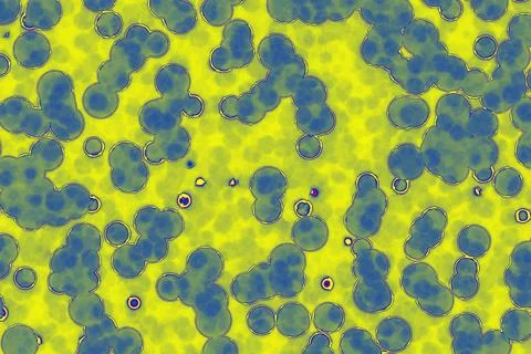 Biological pattern of blue cells on yellow background Stock Illustration