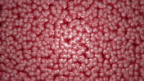 Biological red substance Stock Footage 89446215