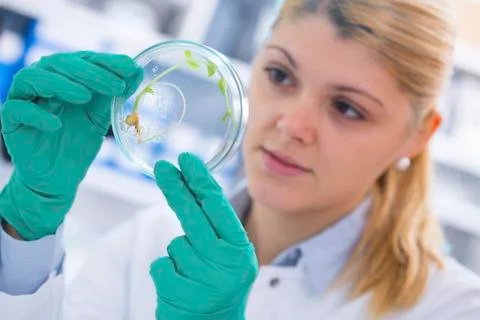Biological research Stock Photos