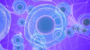 Biological research on stem cells derived from embryos and use in medicine Stock Footage 85766981