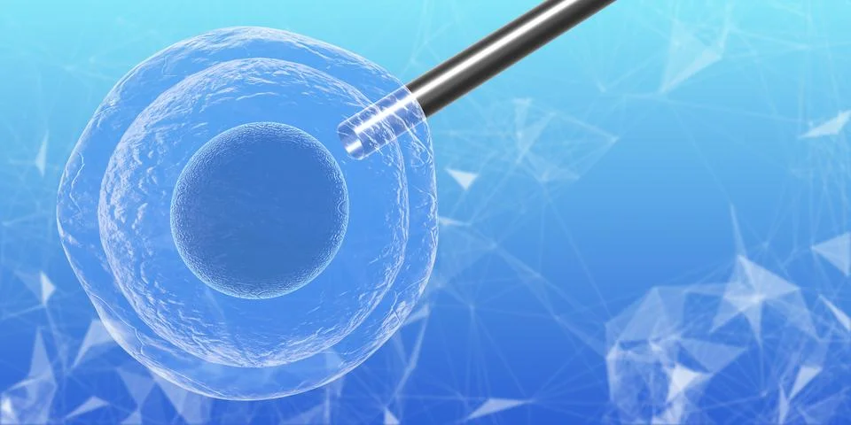 Biological research on stem cells derived from embryos and on their use in medic Stock Illustration