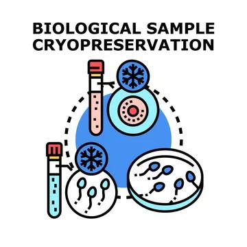 Biological sample cryopreservation storing human cells for future use Stock Illustration