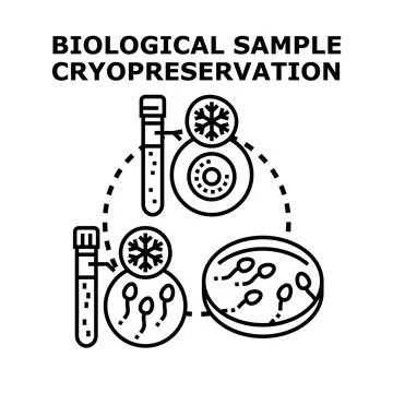 Biological sample cryopreservation storing human cells for future use Stock Illustration