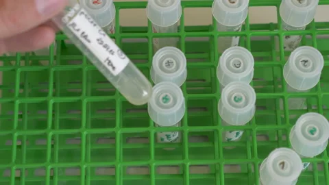 Biological sample holder with test tubes Stock Footage 198319373