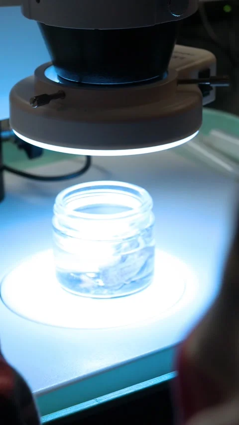 Biological Specimen under Lab Light in College Campus  Vertical Stock Footage 328058545