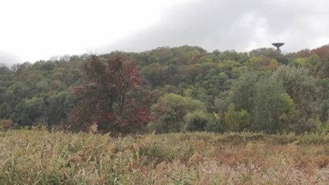 Biological-station Video stock 161947787