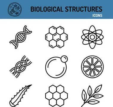 Biological Structures and Science Line Icon Set Vector Illustration. イラスト素材
