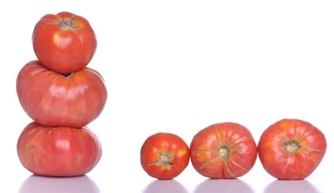 Biological tomatoes Stock Photos