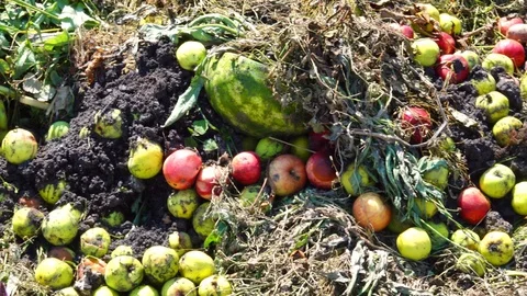 Biological waste on a local landfill site. Stock Footage