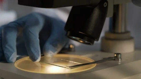 Biologist adjusting microscope slide and changing light to get better view 스톡 동영상 73743474