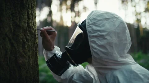 Biologist analyzes health of a tree in the forest Stock Footage 219483693