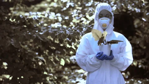 Biologist carefully holding pot plant standing forest, nature conservation 스톡 동영상 115383053