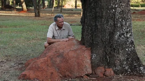 Biologist examine a Termite Mound Stock Footage 135828277