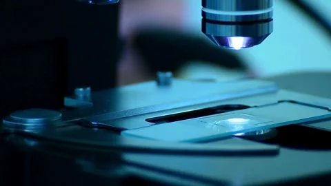 A biologist examines a coral sample under a microscope, studying its structure Stock Footage 336583225