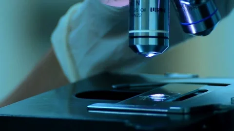 A biologist examines a coral sample under a microscope, studying its structure Stock Footage 336583262