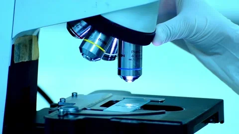 A biologist examines a coral sample under a microscope, studying its structure Stock Footage 336583278