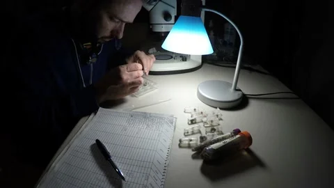 Biologist examining insect samples at night Video stock 150273517