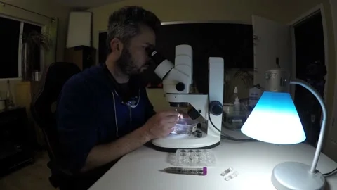Biologist examining insect samples at night Video stock 150273641
