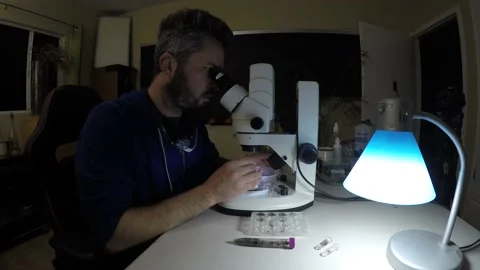 Biologist examining insect samples at night Video stock 150273656