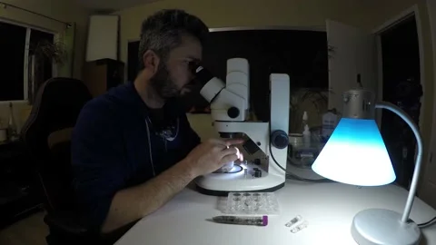 Biologist examining insect samples at night Video stock 150273713