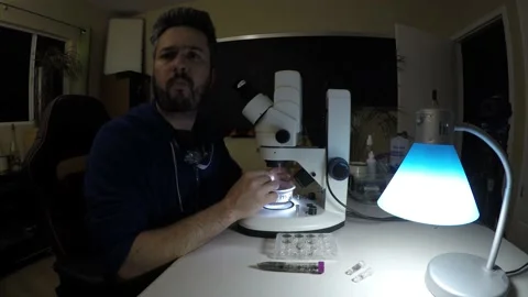 Biologist examining insect samples at night Video stock 150273718