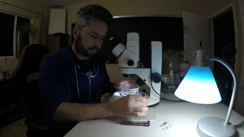 Biologist examining insect samples at night Video stock 150273843