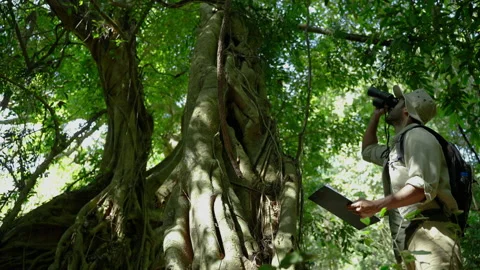 Biologist on a forest walk collecting data is using binoculars Stock Footage 226814922