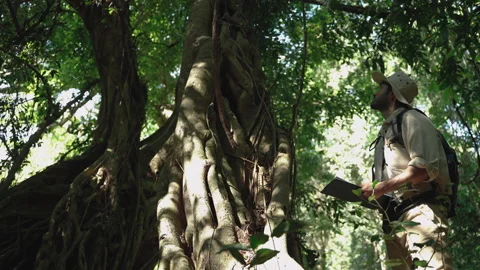 Biologist on a forest walk collecting data is using binoculars to look Stock Footage 247410410