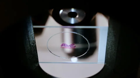 Biologist in a genetic engineering lab. A research project to create new life  Stock Footage 261594357