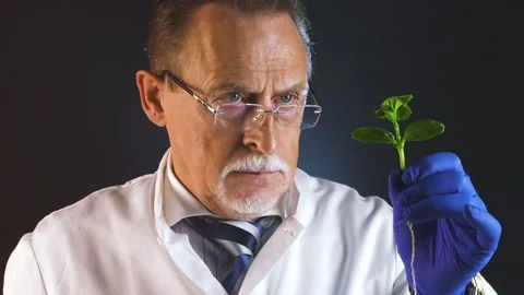 Biologist is inspecting and analyzing the cultured artificial sprout Stock Footage 130348111