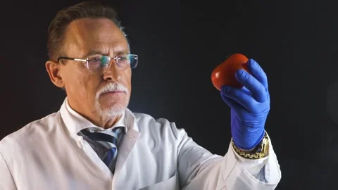 Biologist is inspecting and analyzing the cultured artificial tomato Stock Footage 130348647