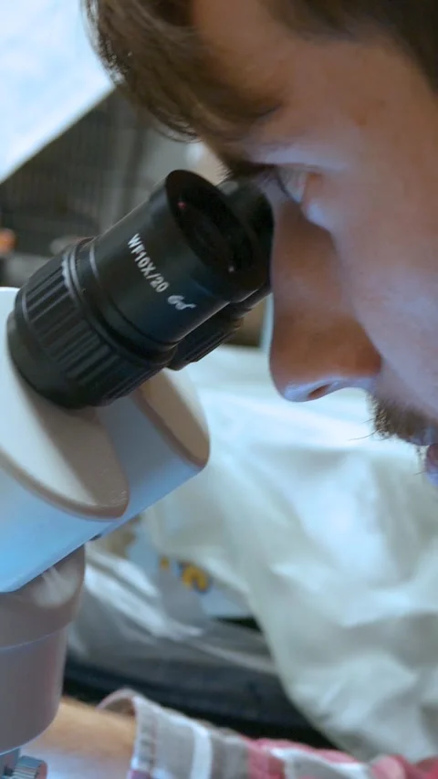 Biologist is Looking Through Microscope in Chem Lab -  Vertical Stock Footage 328058572