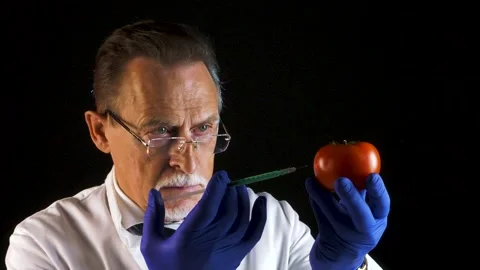 Biologist makes an injection in the cultured artificial tomato Stock Footage 130347089