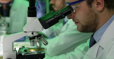 Biologist Man Work Examining Seeds Microscope Laboratory Biological Researches Stock Footage 81475002