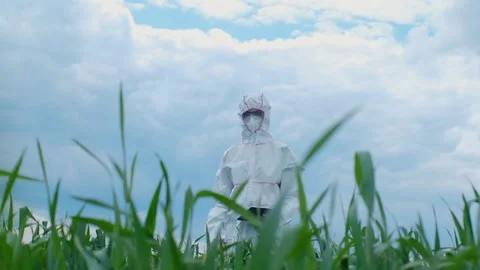A biologist in a mask and a protective suit explores the field with the help of Stockbeeldmateriaal 241801892