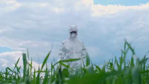 A biologist in a mask and a protective suit explores the field with the help of Stock Footage 241801993
