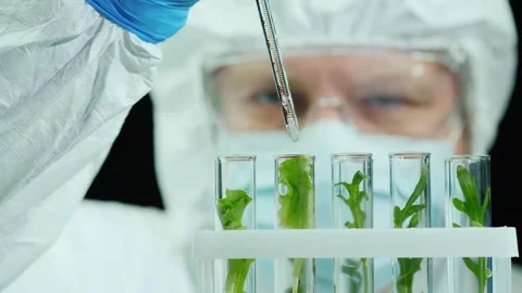Biologist or scientist in lab coat, safety glasses, and medical mask adding.. Видео 334765635