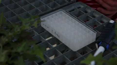 Biologist processing lab Stock Footage 39949843