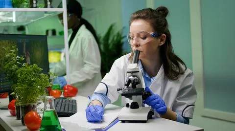 Biologist scientist looking at leaf sample using medical microscope Fotos Stock