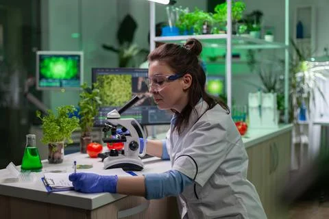 Biologist scientist looking at leaf sample using medical microscope Stock Photos