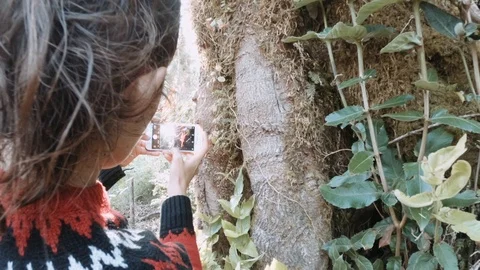 Biologist studies flowers in the forest. Stock Footage 108936954