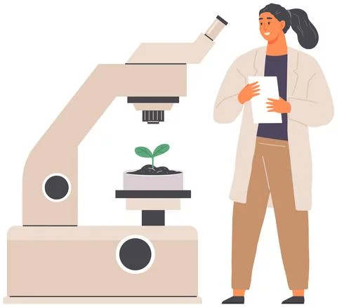 Biologist studies plant cell with microscope. Biological research with Stock Illustration