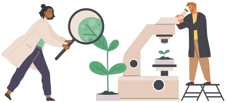 Biologist studies plant cell with microscope. Biological research with Stock Illustration