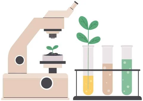 Biologist studies plant cell with microscope. Biological research with Stock Illustration