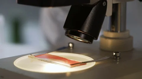 Biologist studying blood sample under microscope, conducting medical research 스톡 동영상 73740730