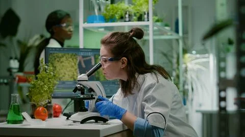 Biologist taking leaf sample putting into microscope Stock Photos