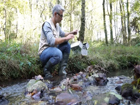 Biologist testing water quality of river Video stock 82875499
