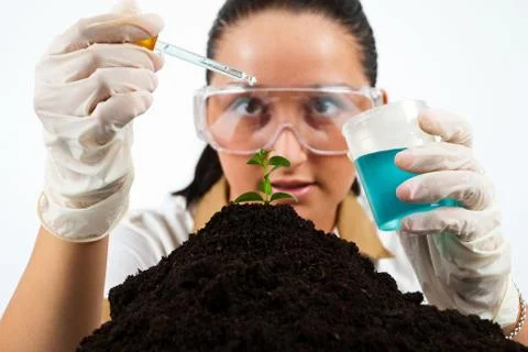 Biologist at work Foto stock