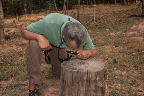 Biologist Working in the Field Stock Photos