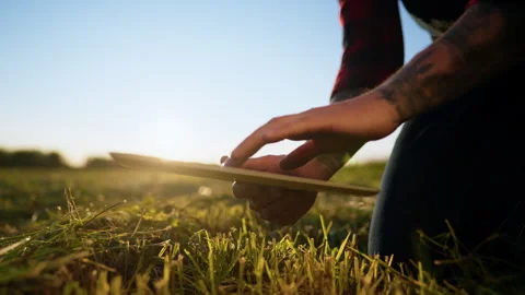 Biologist working with tablet computer in field in summer, environment protect Vidéo 315526793